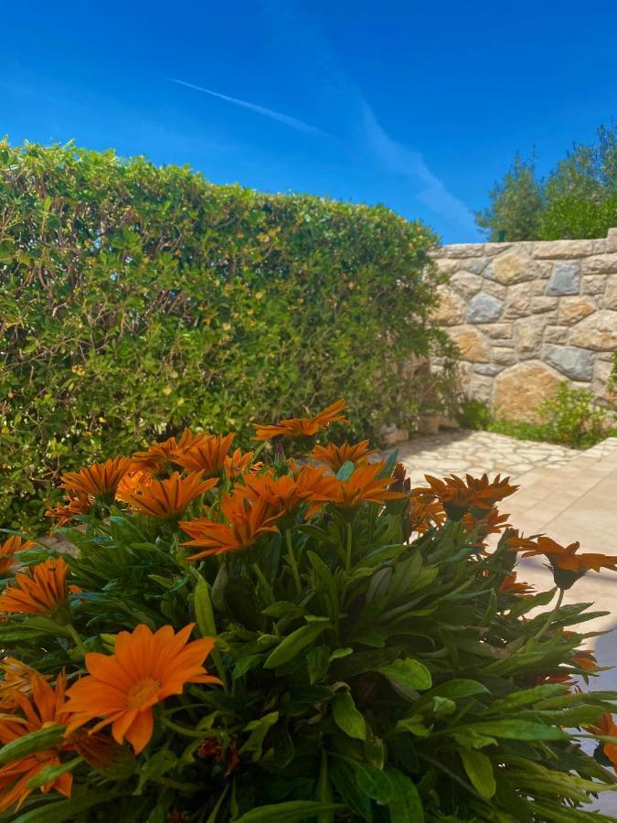 Villa Cvita Povljana Ngoại thất bức ảnh