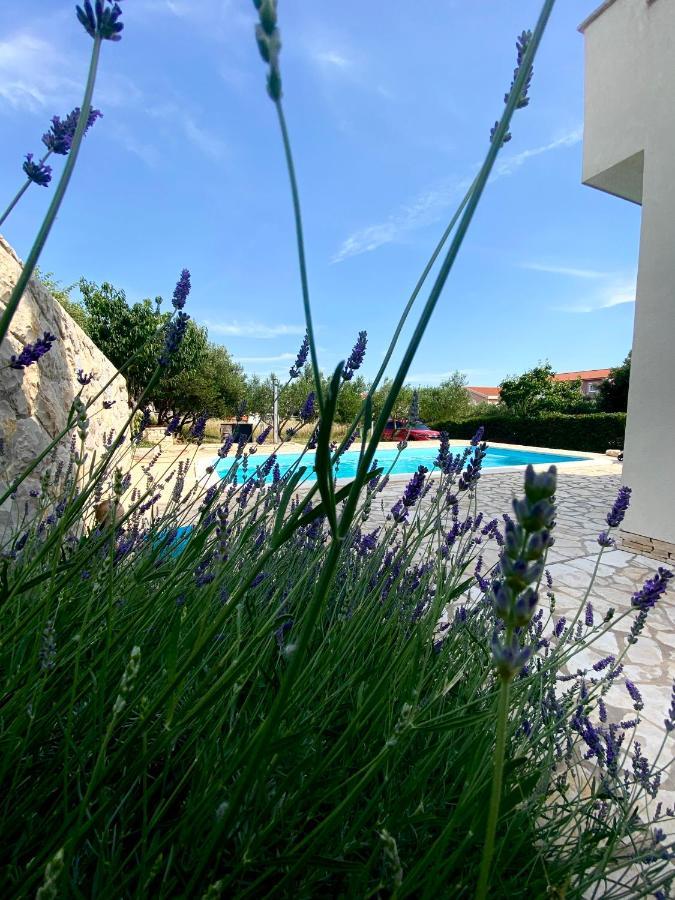 Villa Cvita Povljana Ngoại thất bức ảnh